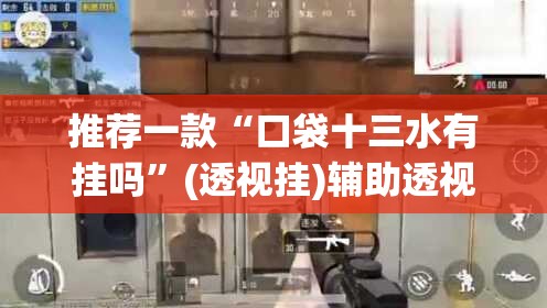 推荐一款“口袋十三水有挂吗”(透视挂)辅助透视教程
