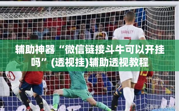 辅助神器“微信链接斗牛可以开挂吗	”(透视挂)辅助透视教程