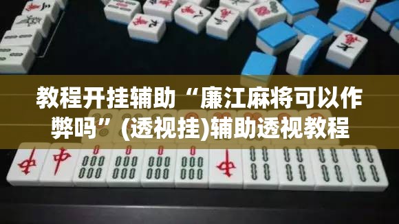 教程开挂辅助“廉江麻将可以作弊吗”(透视挂)辅助透视教程