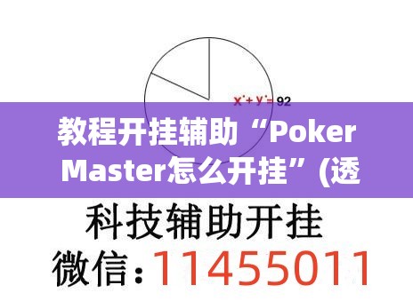 教程开挂辅助“Poker Master怎么开挂”(透视挂)辅助透视教程