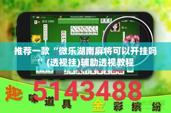 推荐一款“微乐湖南麻将可以开挂吗	”(透视挂)辅助透视教程