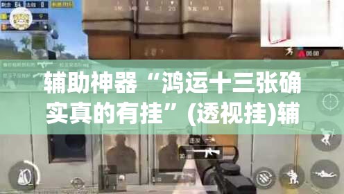 辅助神器“鸿运十三张确实真的有挂	”(透视挂)辅助透视教程