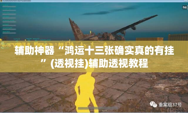 辅助神器“鸿运十三张确实真的有挂”(透视挂)辅助透视教程
