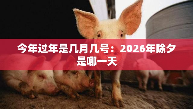 今年过年是几月几号:2026年除夕是哪一天 今年过年是几月几号:2026年除夕是哪一天