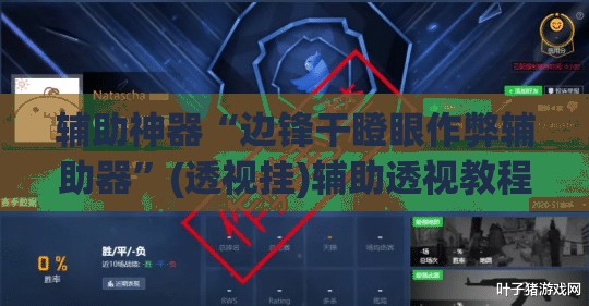 辅助神器“边锋干瞪眼作弊辅助器	”(透视挂)辅助透视教程