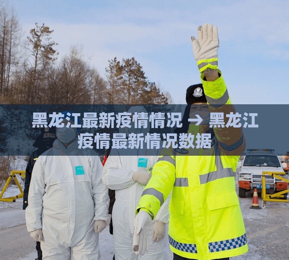 黑龙江最新疫情情况 → 黑龙江疫情最新情况数据