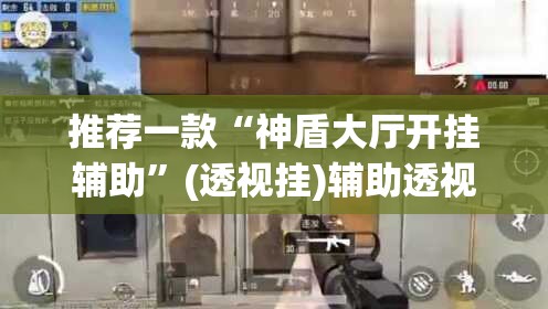 推荐一款“神盾大厅开挂辅助”(透视挂)辅助透视教程
