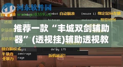 推荐一款“丰城双剑辅助器”(透视挂)辅助透视教程