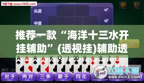 推荐一款“海洋十三水开挂辅助”(透视挂)辅助透视教程