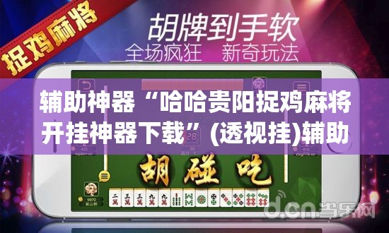 辅助神器“哈哈贵阳捉鸡麻将开挂神器下载	”(透视挂)辅助透视教程