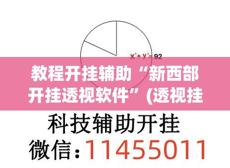 教程开挂辅助“新西部开挂透视软件	”(透视挂)辅助透视教程