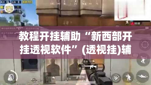教程开挂辅助“新西部开挂透视软件	”(透视挂)辅助透视教程