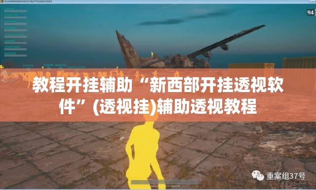 教程开挂辅助“新西部开挂透视软件”(透视挂)辅助透视教程
