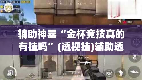 辅助神器“金杯竞技真的有挂吗”(透视挂)辅助透视教程