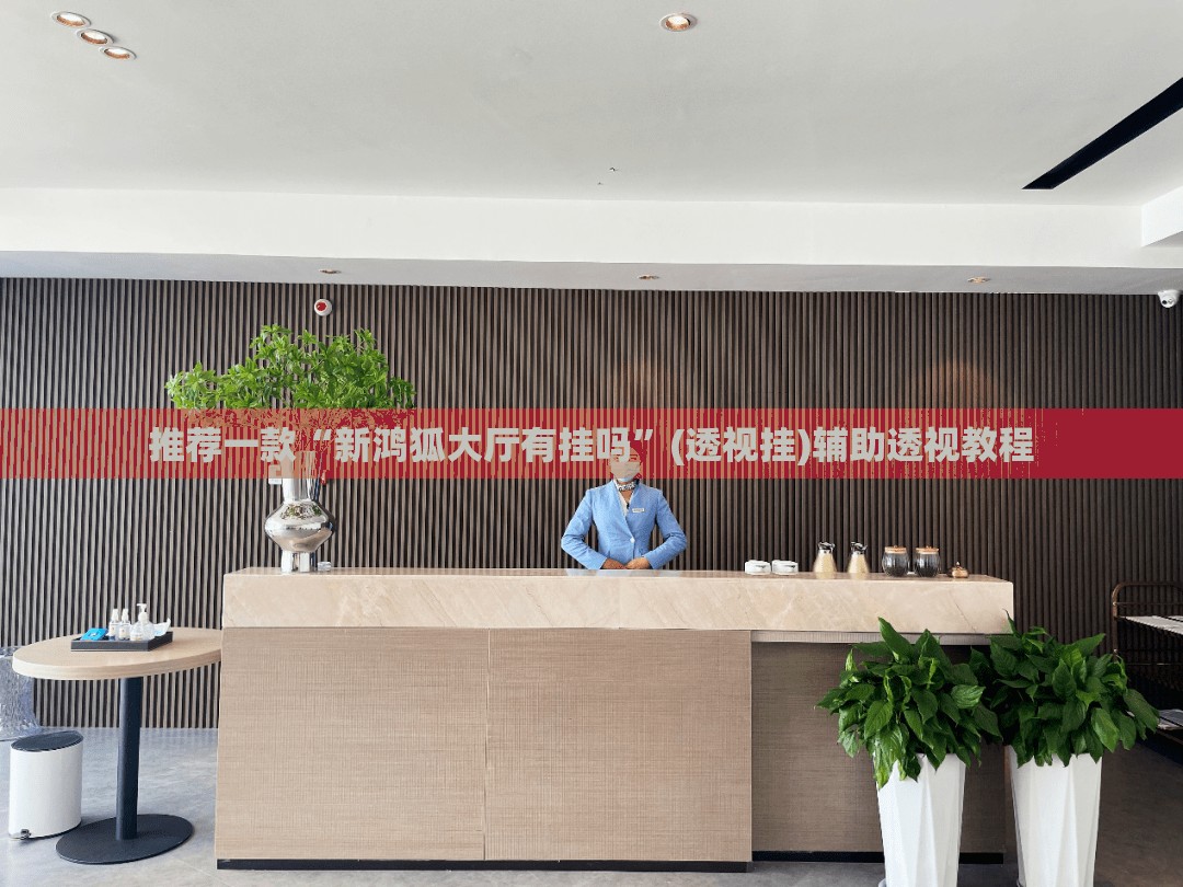 推荐一款“新鸿狐大厅有挂吗”(透视挂)辅助透视教程