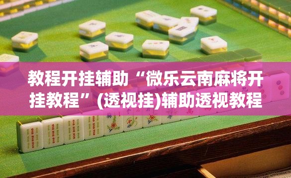 教程开挂辅助“微乐云南麻将开挂教程”(透视挂)辅助透视教程