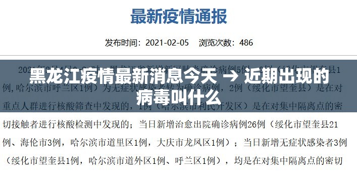 黑龙江疫情最新消息今天 → 近期出现的病毒叫什么 黑龙江疫情最新消息今天 → 近期出现的病毒叫什么