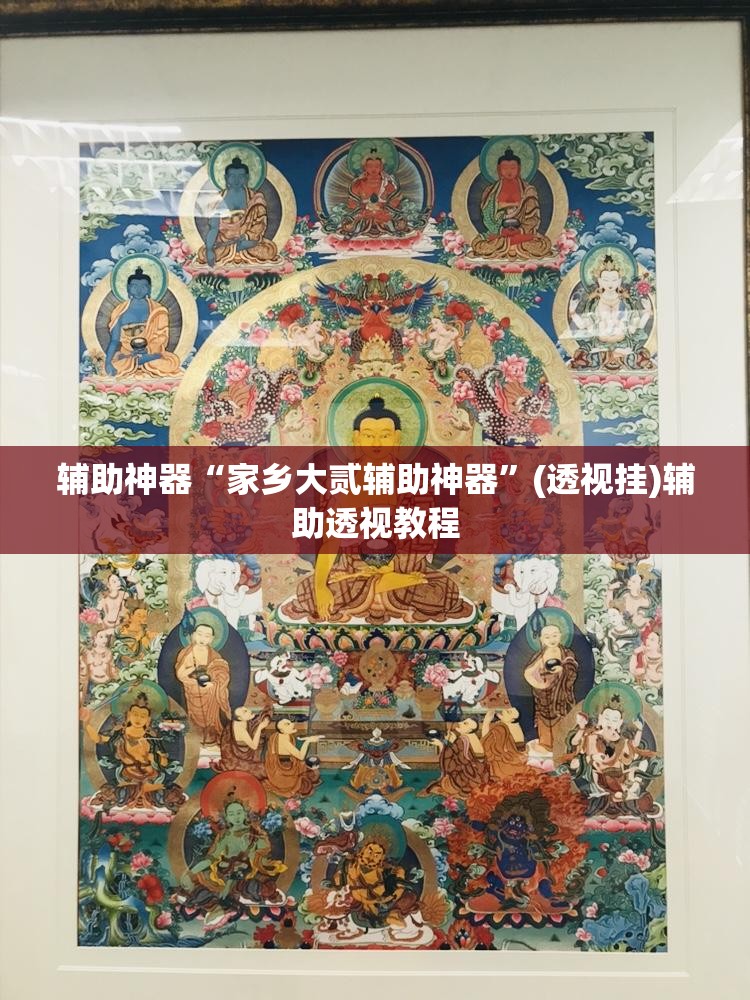辅助神器“家乡大贰辅助神器”(透视挂)辅助透视教程