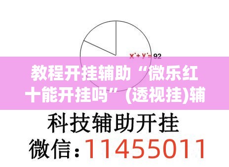 教程开挂辅助“微乐红十能开挂吗	”(透视挂)辅助透视教程