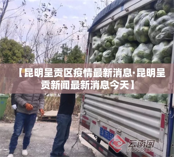 教程开挂辅助“微乐天津麻将开挂神器”(透视挂)辅助透视教程
