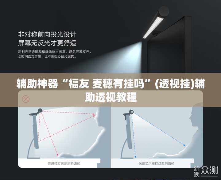 辅助神器“福友 麦穗有挂吗”(透视挂)辅助透视教程