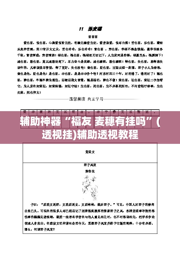 辅助神器“福友 麦穗有挂吗”(透视挂)辅助透视教程