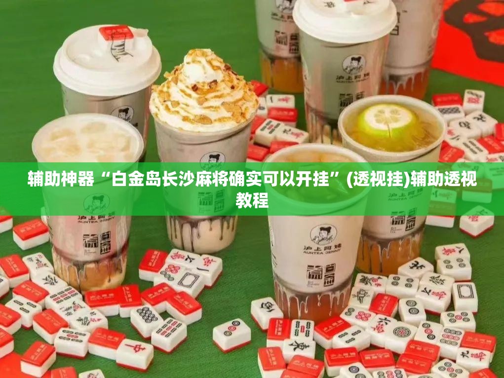 辅助神器“白金岛长沙麻将确实可以开挂”(透视挂)辅助透视教程