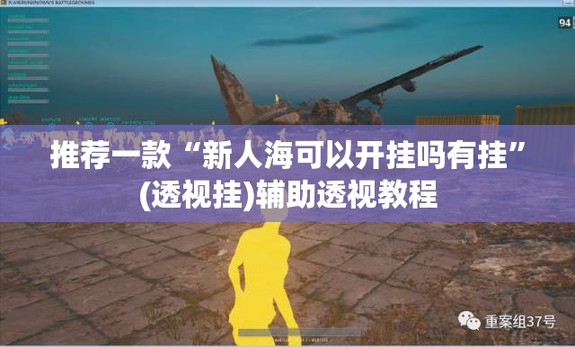 推荐一款“新人海可以开挂吗有挂”(透视挂)辅助透视教程