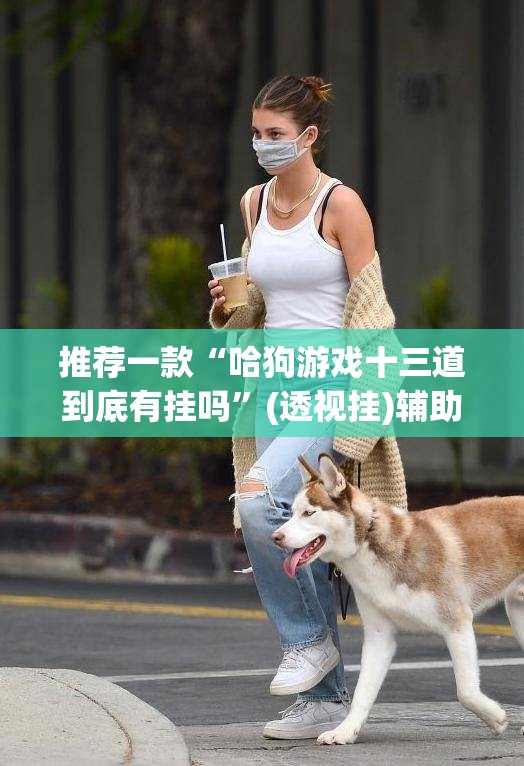 推荐一款“哈狗游戏十三道到底有挂吗”(透视挂)辅助透视教程