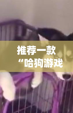 推荐一款“哈狗游戏十三道到底有挂吗”(透视挂)辅助透视教程