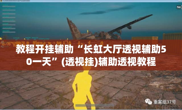 教程开挂辅助“长虹大厅透视辅助50一天	”(透视挂)辅助透视教程
