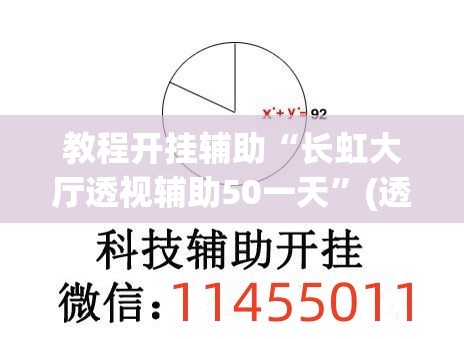 教程开挂辅助“长虹大厅透视辅助50一天”(透视挂)辅助透视教程