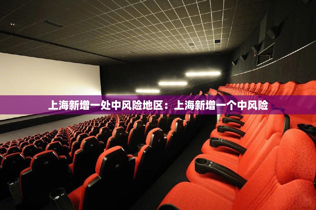 上海新增一处中风险地区：上海新增一个中风险