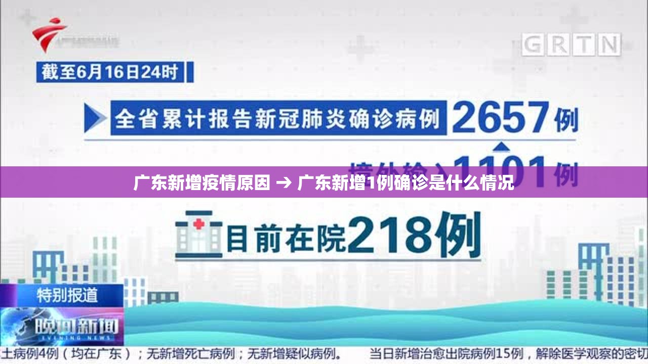 广东新增疫情原因 → 广东新增1例确诊是什么情况 广东新增疫情原因 → 广东新增1例确诊是什么情况