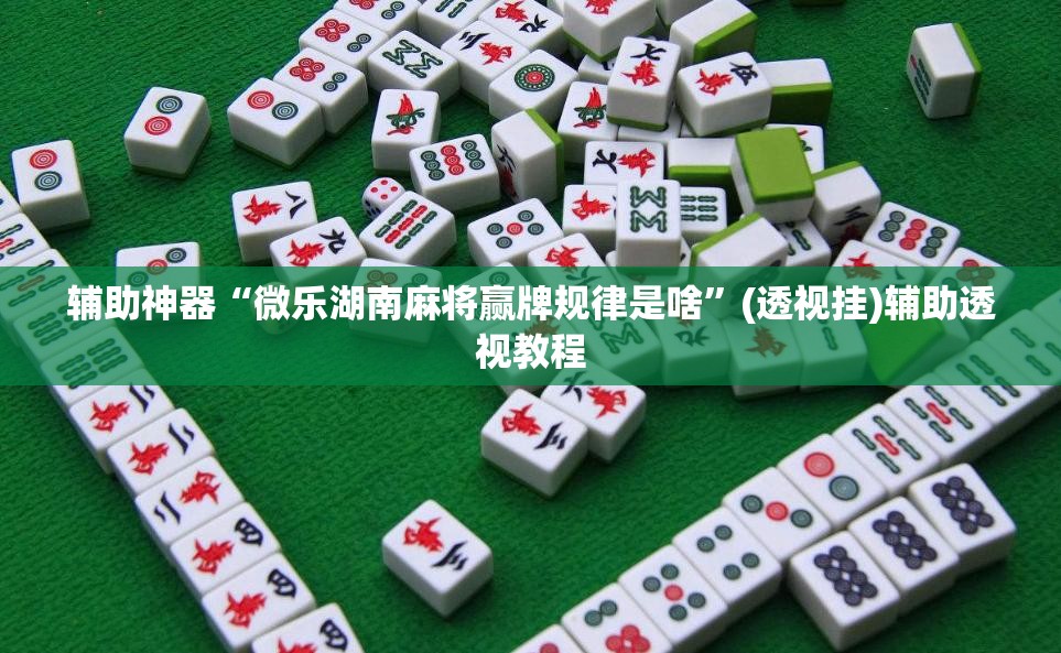 辅助神器“微乐湖南麻将赢牌规律是啥”(透视挂)辅助透视教程