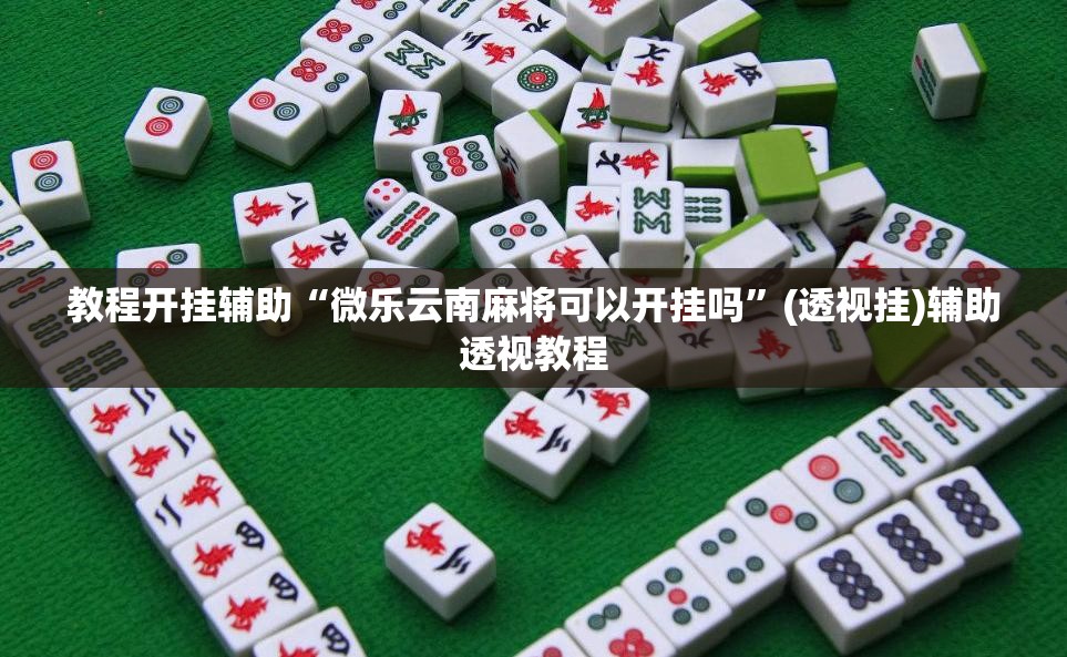 教程开挂辅助“微乐云南麻将可以开挂吗”(透视挂)辅助透视教程
