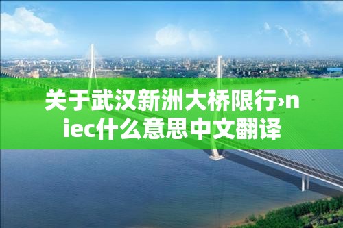 关于武汉新洲大桥限行›niec什么意思中文翻译