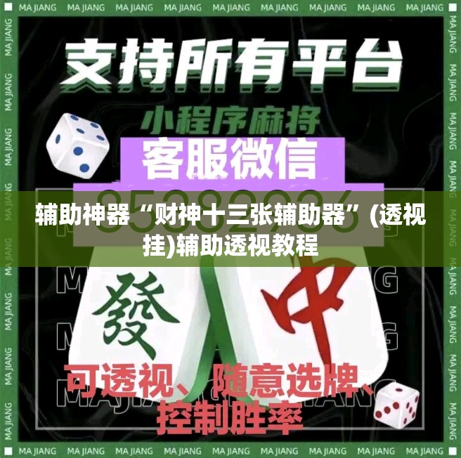 辅助神器“财神十三张辅助器”(透视挂)辅助透视教程