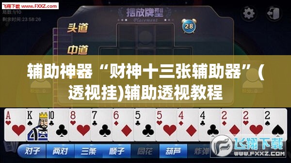 辅助神器“财神十三张辅助器	”(透视挂)辅助透视教程