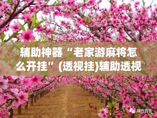 教程开挂辅助“微乐浙江麻将透视挂作弊辅助	”(透视挂)辅助透视教程