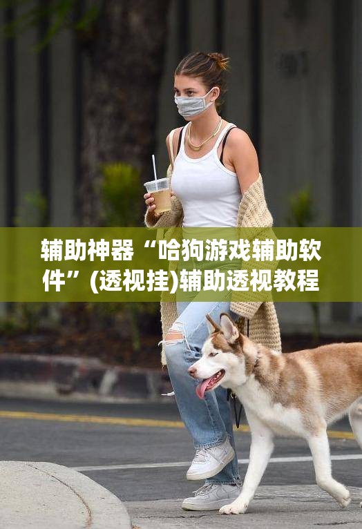 辅助神器“哈狗游戏辅助软件”(透视挂)辅助透视教程