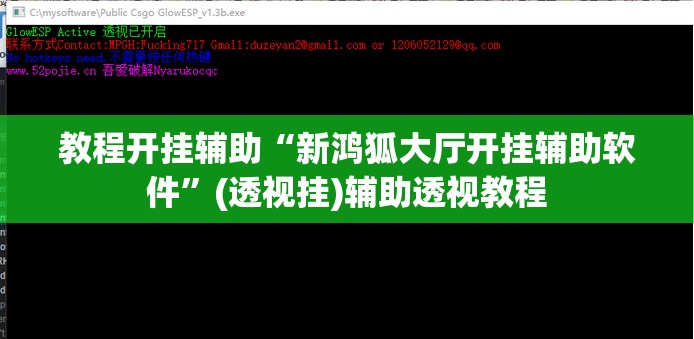 教程开挂辅助“新鸿狐大厅开挂辅助软件”(透视挂)辅助透视教程