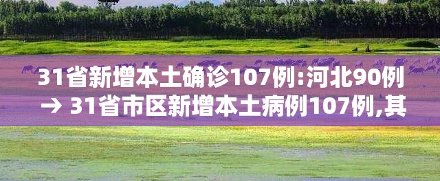 31省新增本土确诊107例:河北90例 → 31省市区新增本土病例107例,其中河北新增90例 31省新增本土确诊107例:河北90例 → 31省市区新增本土病例107例,其中河北新增90例