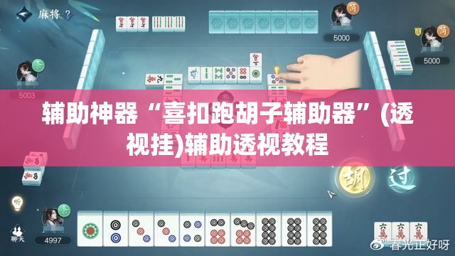 辅助神器“喜扣跑胡子辅助器”(透视挂)辅助透视教程