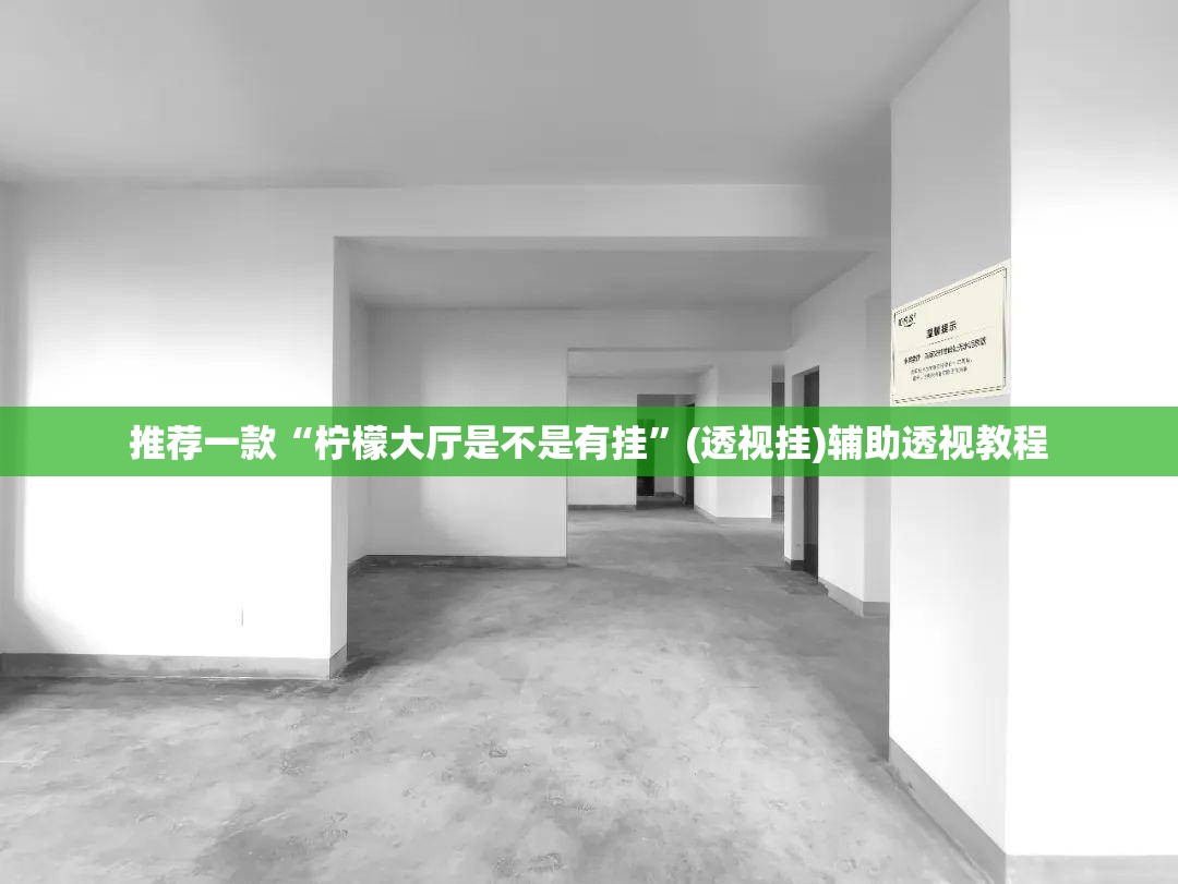推荐一款“柠檬大厅是不是有挂”(透视挂)辅助透视教程
