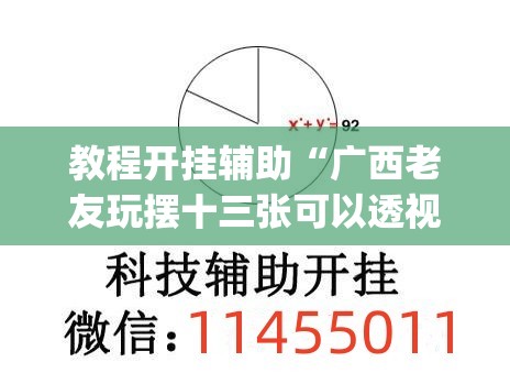 教程开挂辅助“广西老友玩摆十三张可以透视吗”(透视挂)辅助透视教程