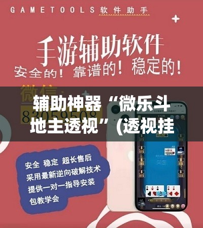 辅助神器“微乐斗地主透视	”(透视挂)辅助透视教程