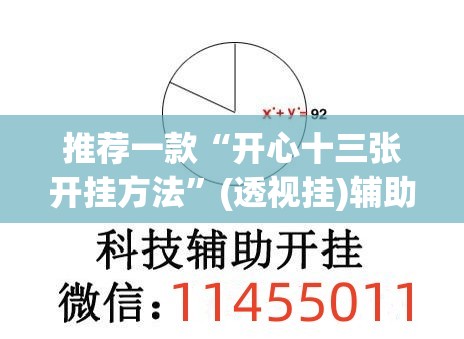 推荐一款“开心十三张开挂方法”(透视挂)辅助透视教程