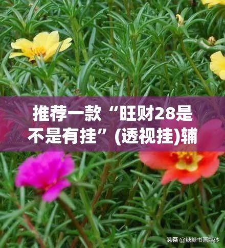 推荐一款“旺财28是不是有挂”(透视挂)辅助透视教程
