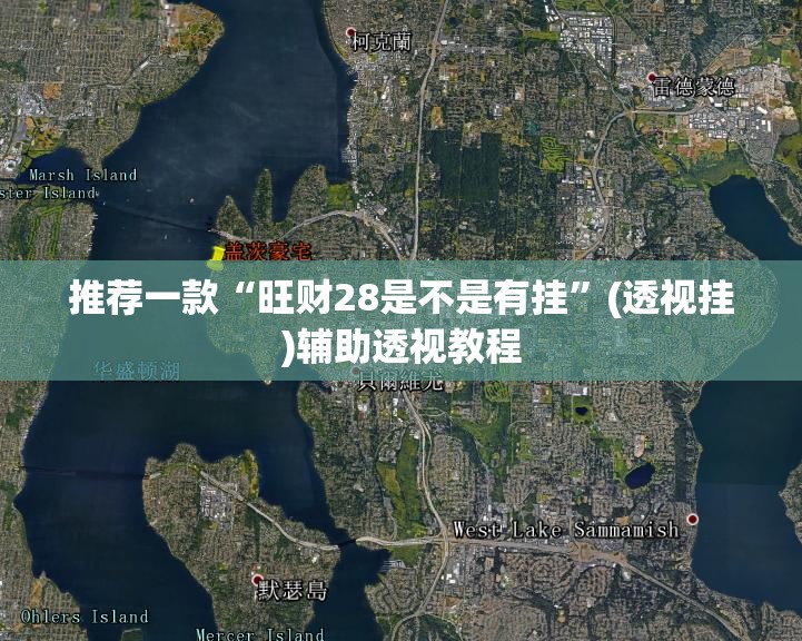推荐一款“旺财28是不是有挂”(透视挂)辅助透视教程